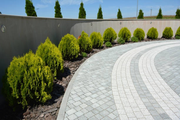 Best Driveway Pavers Near Me  in Lino Lakes, MN